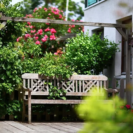 Lejlighed Haus Wildgans - Sonnenblume Behrensdorf